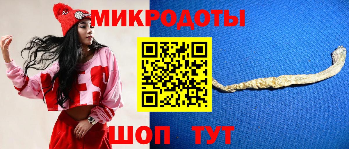 купить закладку  Вход с VPN  Алексеевка  Галлюциногенные грибы мицелий 